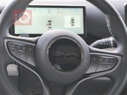 بی وای دی سيل 06 DM-i